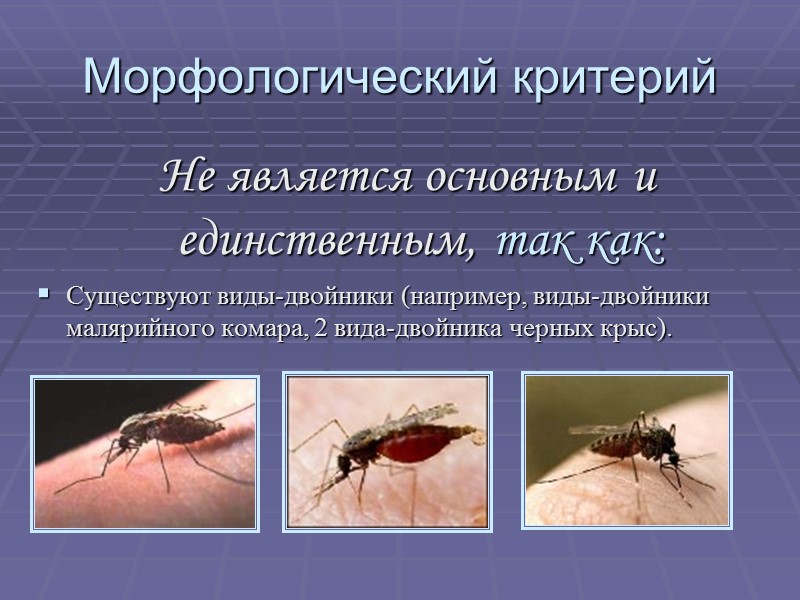 Морфологический критерий Не является основным и единственным, так как: Существуют виды-двойники (например, виды-двойники малярийного